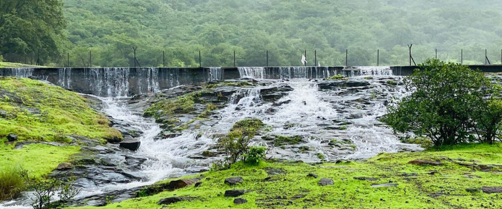 Andharban forest trek during monsoon – dense greenery near Pune
