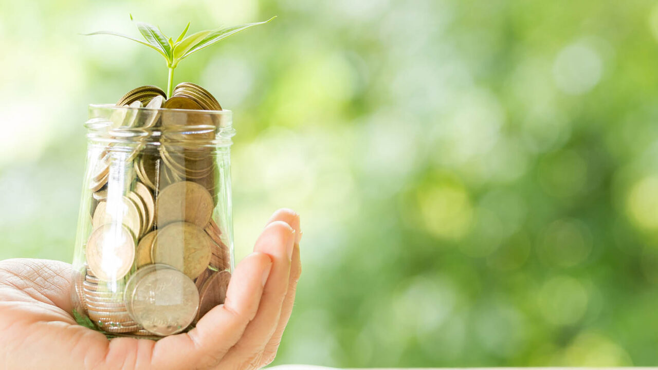 Best Mutual Funds to Invest in India – A 2025 Guide for Beginners