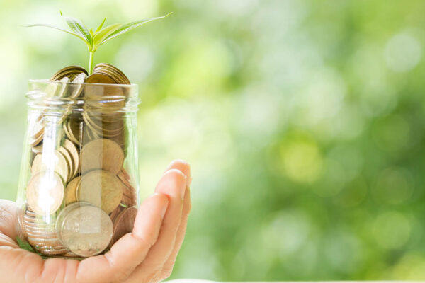 Best Mutual Funds to Invest in India – A 2025 Guide for Beginners