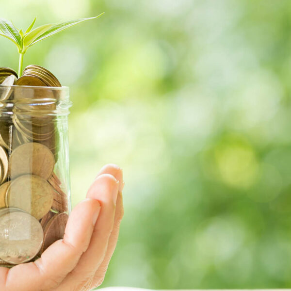 Best Mutual Funds to Invest in India – A 2025 Guide for Beginners