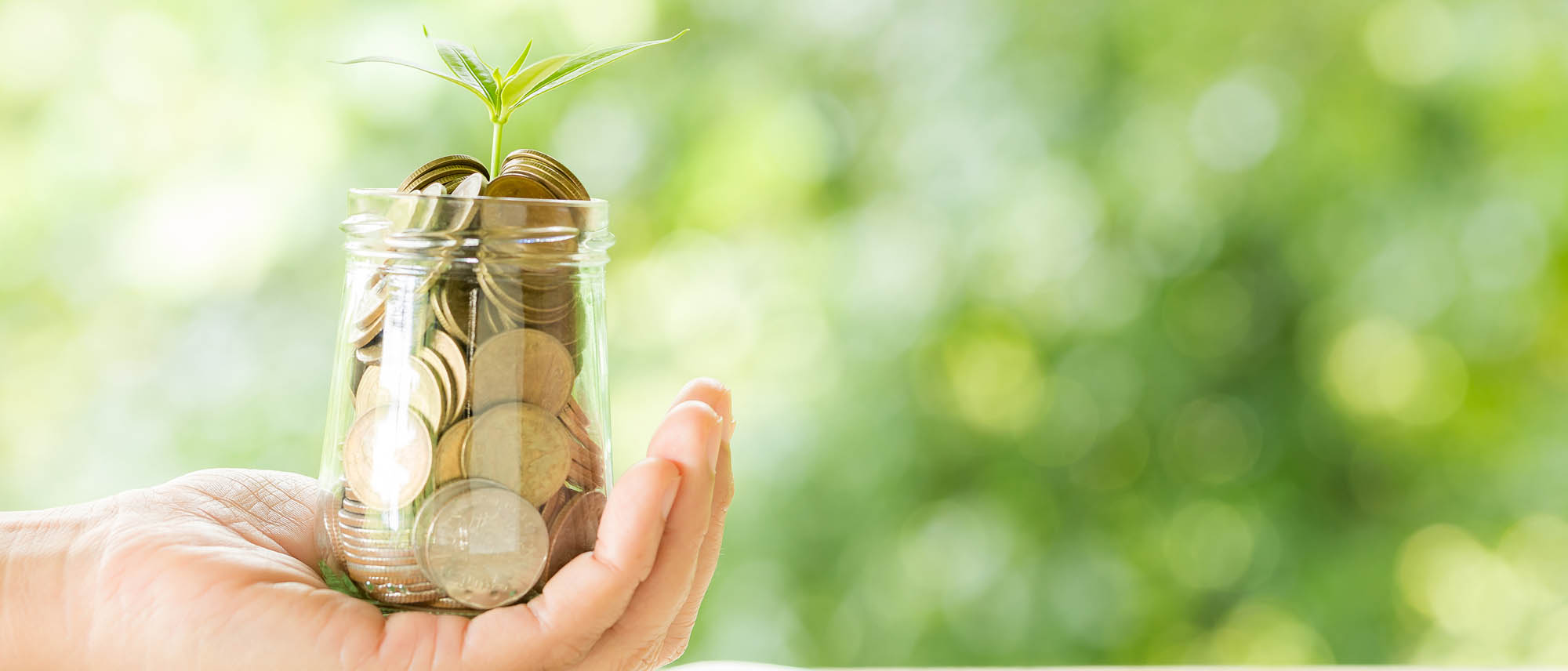 Best Mutual Funds to Invest in India – A 2025 Guide for Beginners