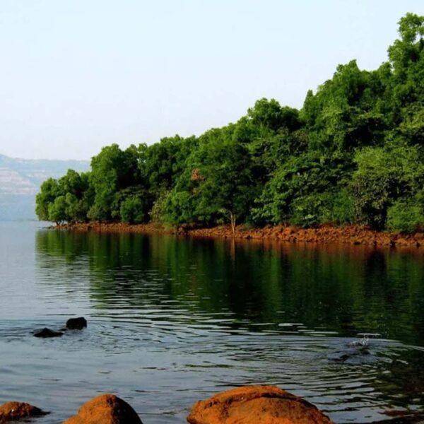 Mulshi Dam Pune in Monsoon | Nature Retreat Near the City
