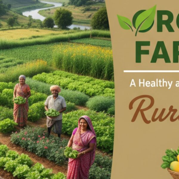 Organic Farming in Rural India: A Healthy and Profitable Future