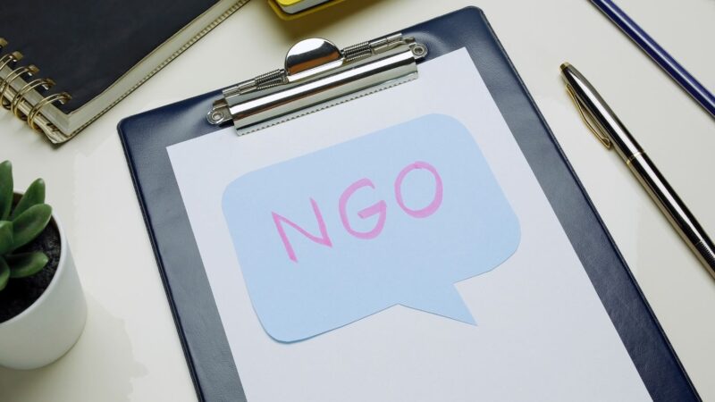 Difference Between Trust and Section 8 Company: A Complete Guide for NGOs in India