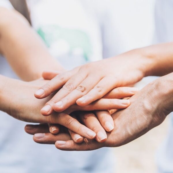 Difference Between Trust, Society, and Section 8 Company (Legal Comparison)