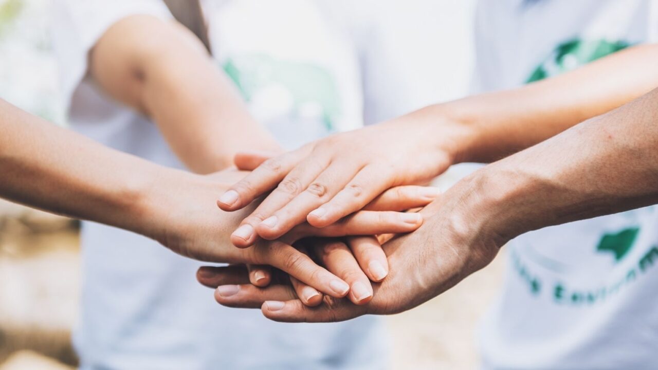 Difference Between Trust and Section 8 Company: A Complete Guide for NGOs in India