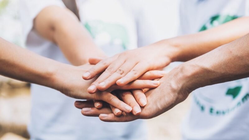 Difference Between Trust and Section 8 Company: A Complete Guide for NGOs in India