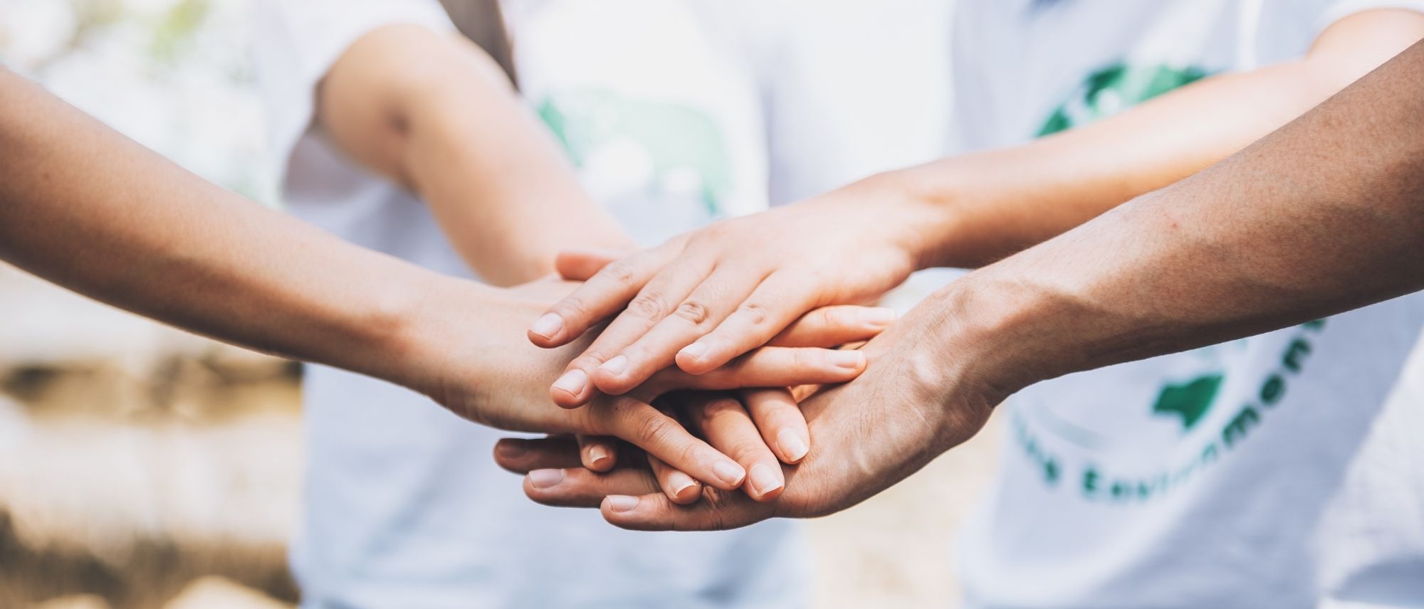 Difference Between Trust and Section 8 Company: A Complete Guide for NGOs in India