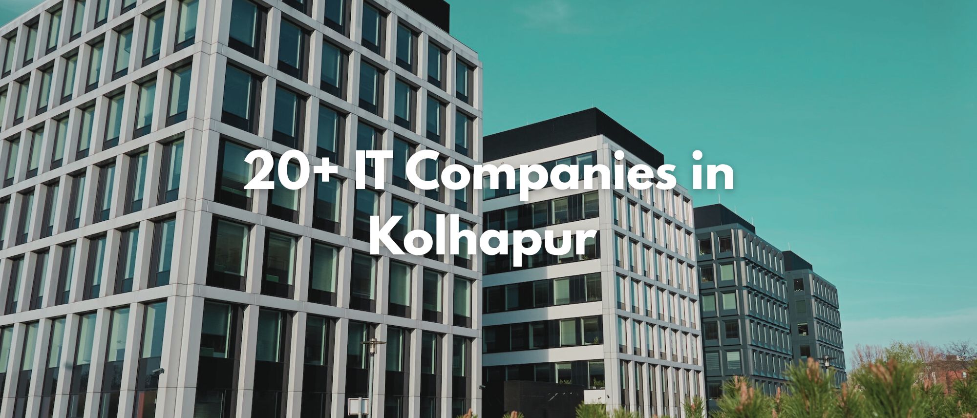 Top 50 IT Companies in Kolhapur with Email & Contact Details (2026 Updated List)